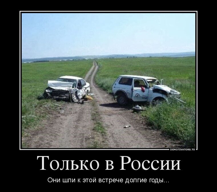 картинки прикольные дураки и дороги фото