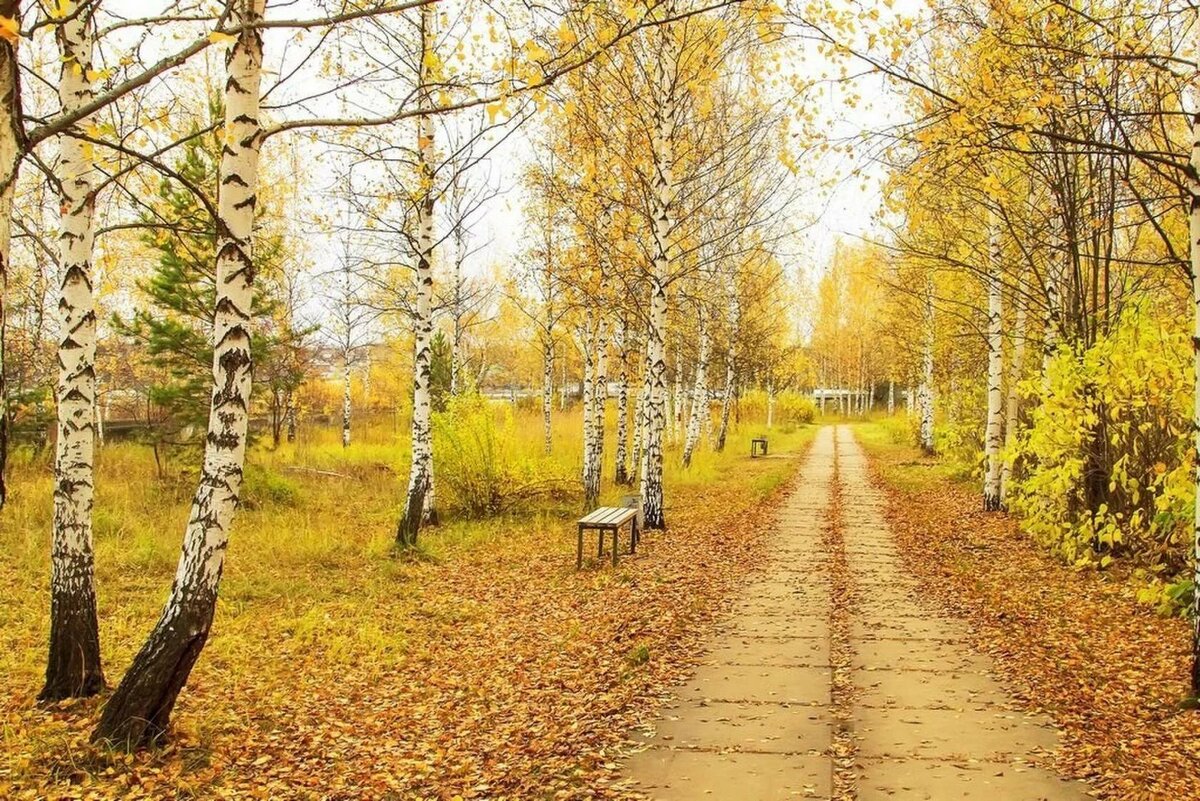 Осень наступила картинки фото