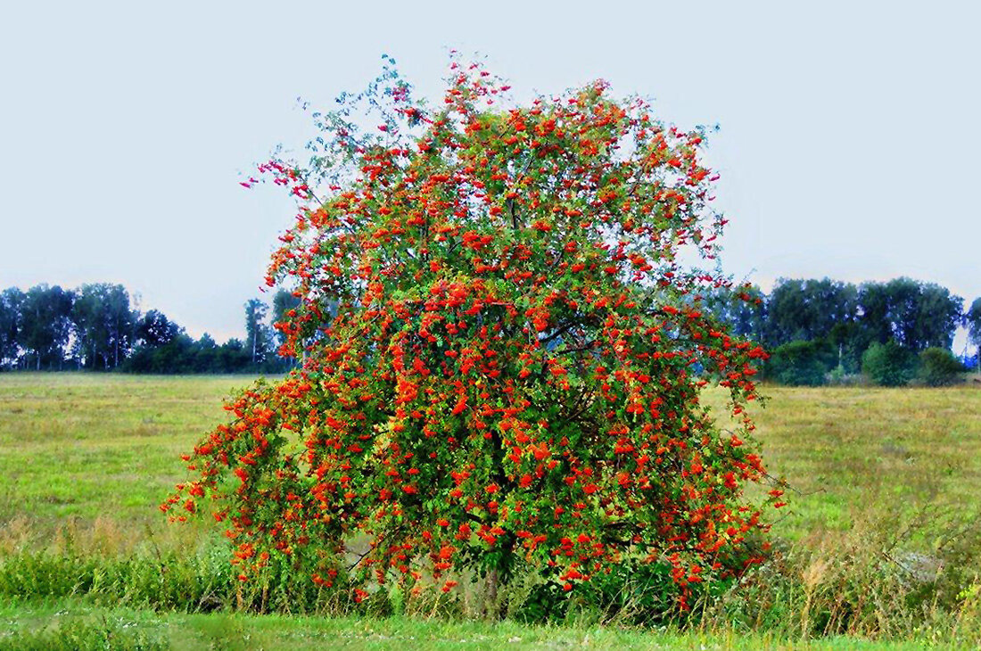 ����� ��������� ��������� ������ ���� ����� ��������� ��������