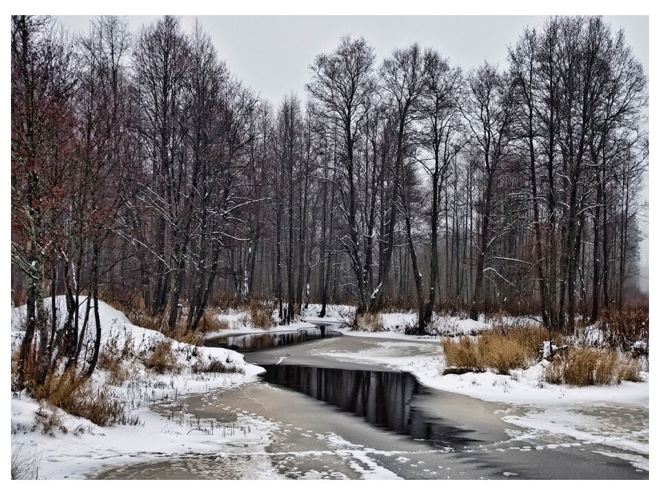 поздняя осень фото