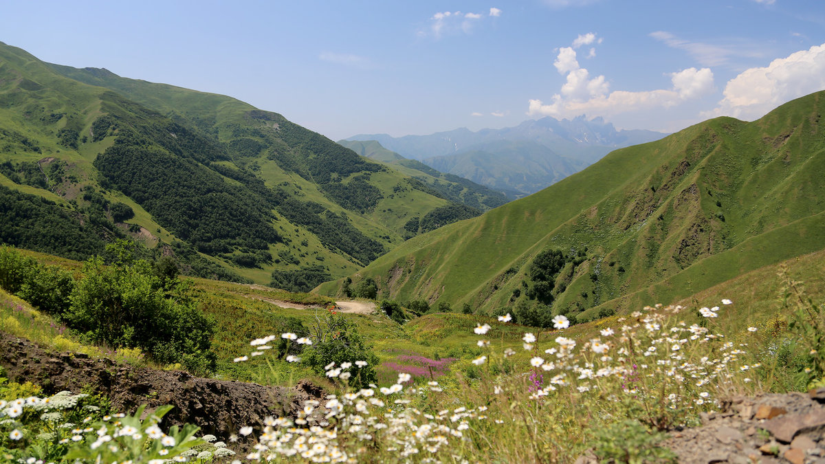 северная осетия горы альпийские луга фото
