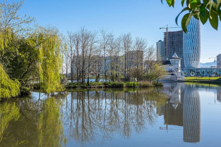 вид на парк фото