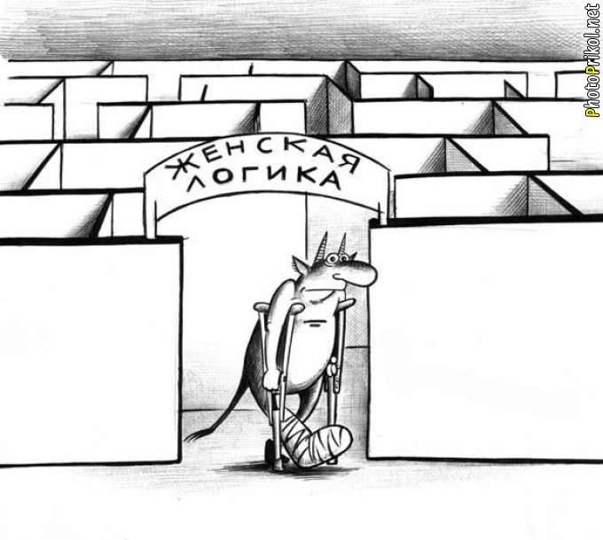 ���������������, ���������� �������� � �������