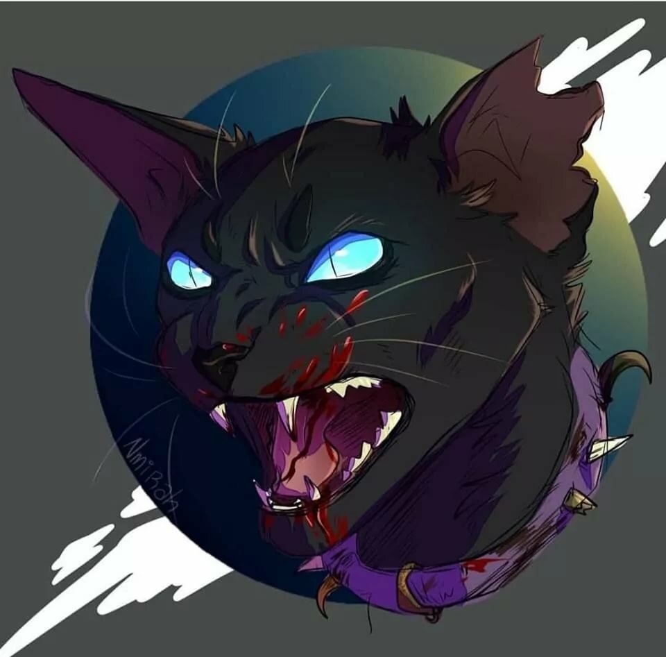 Warrior Cat Rp - warrior cat rp roblox gameplay warrior cats roleplay mountain territory Warrior Cat Rp - roblox gameplay warrior cats roleplay mountain territory