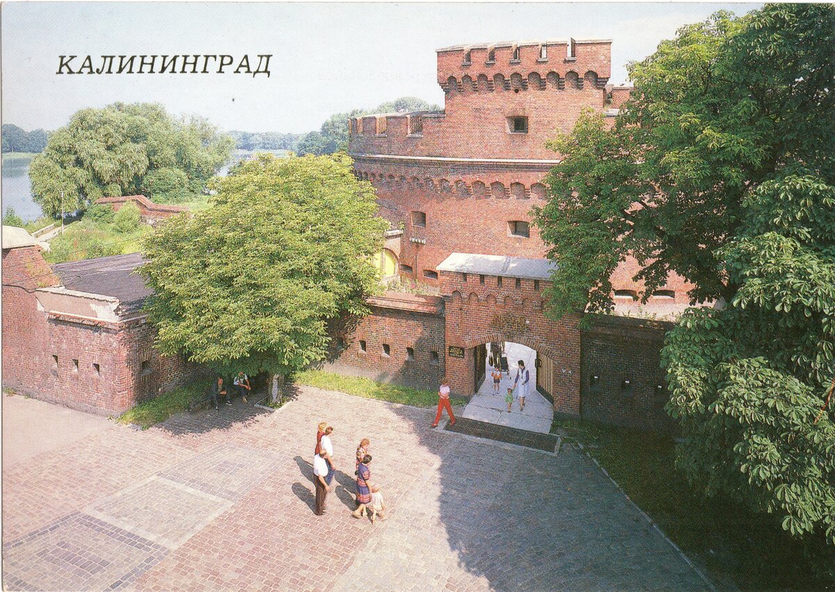 калининград музей янтаря фото