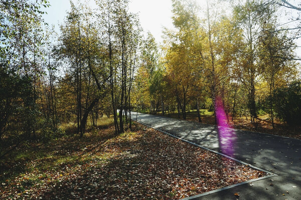 парк бугринская роща фото
