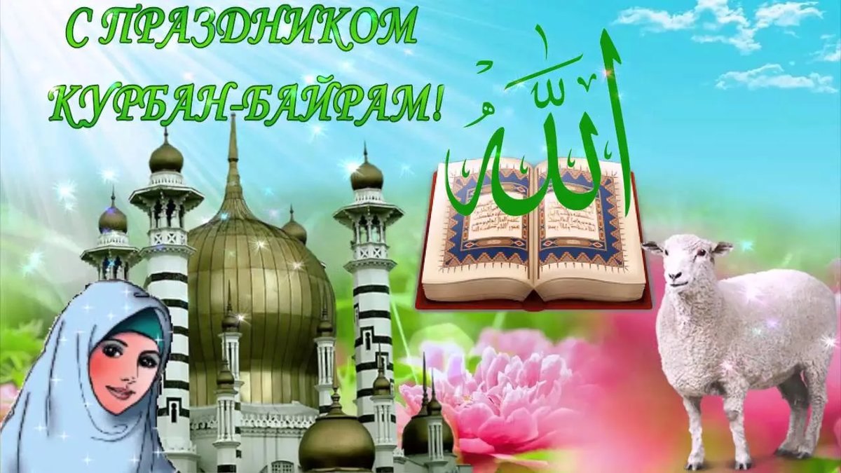 �������� ������������ � ��������, �������� ����