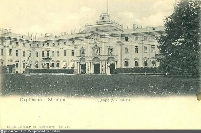 стрельна константиновский дворец 1930 год фото