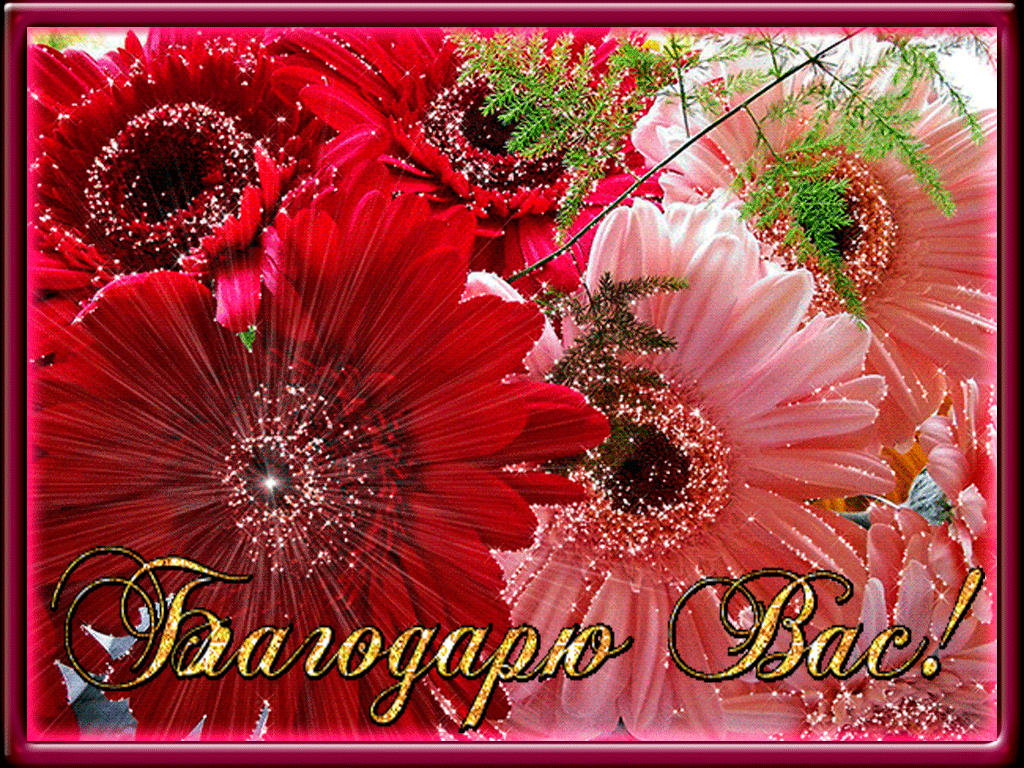 ���� �������� ��������� ��������