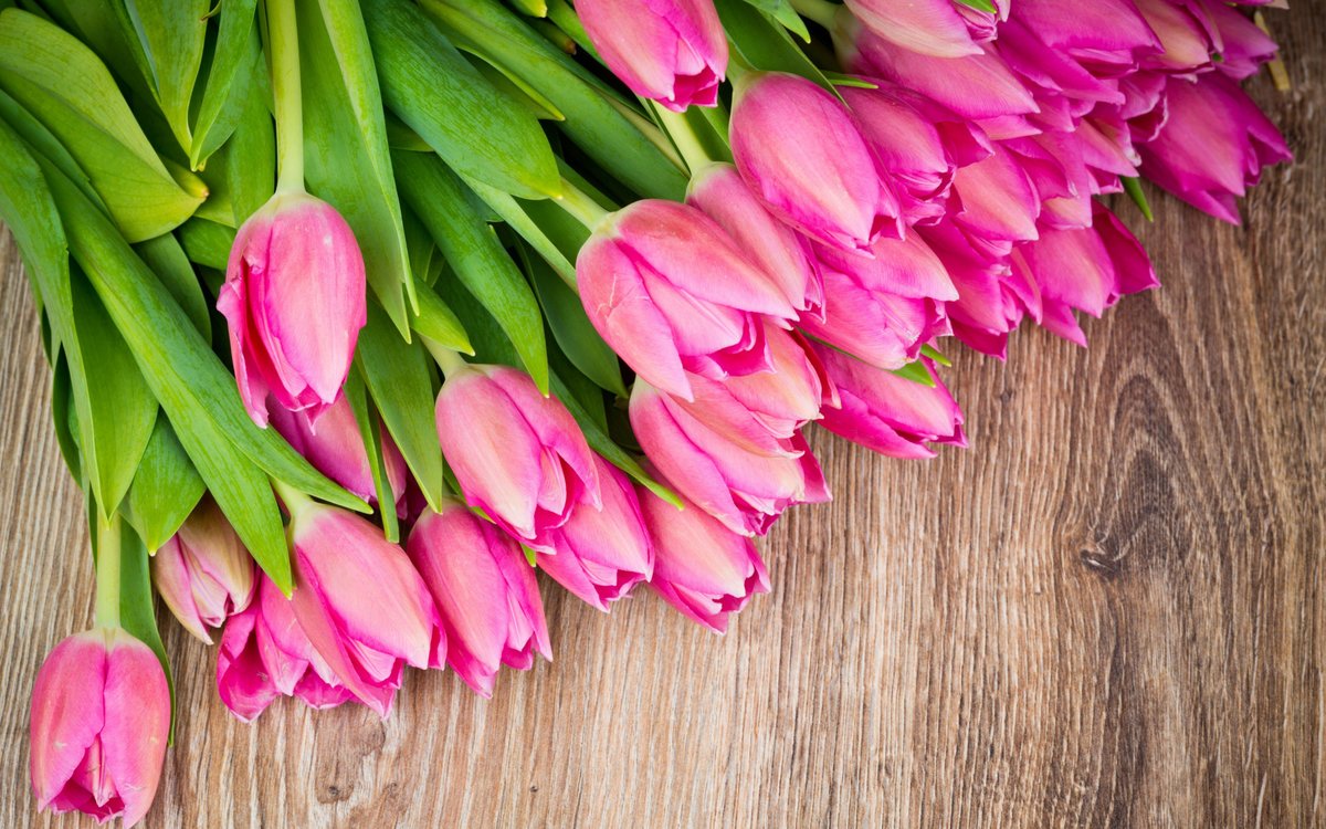 ���� ���, ���� �� �������� ��������