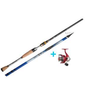 ����� ��� ������ beauty stamp ������