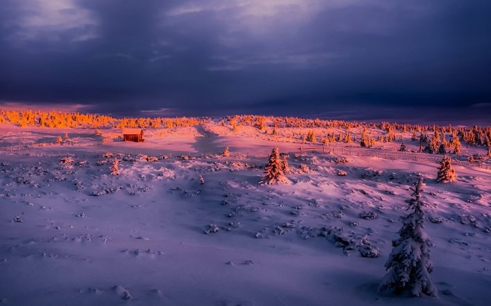 якутия зимой фото
