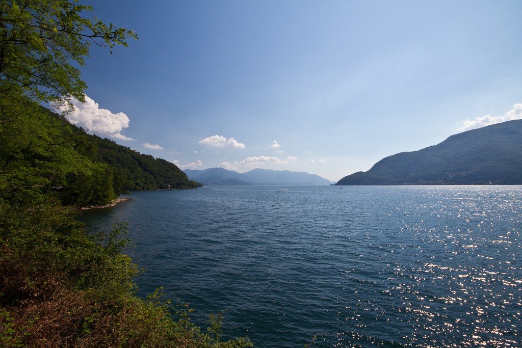 телецкое озеро алтай фото