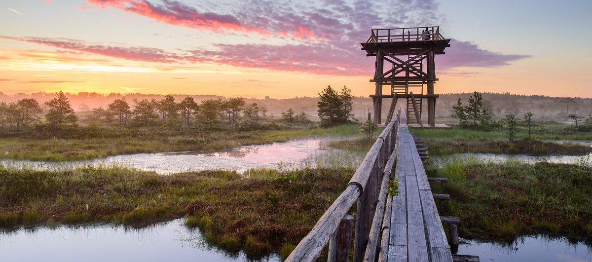кемери латвия национальный парк фото