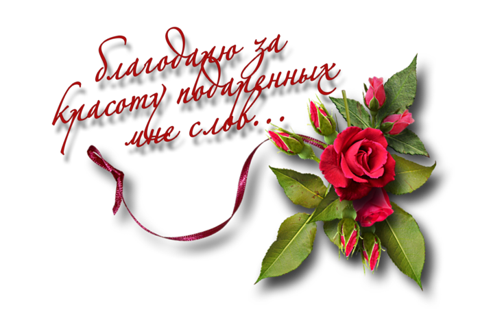 Большое спасибо за поздравление и теплые пожелания