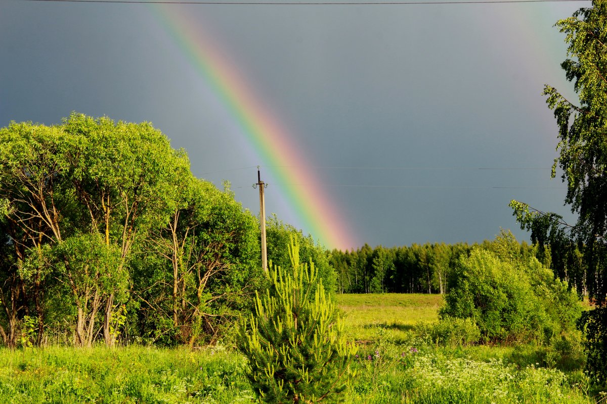 Природа ивановской области фото