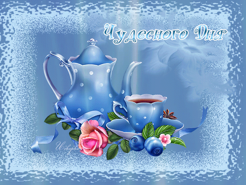 ������ ���� ������ �������� �������� ���