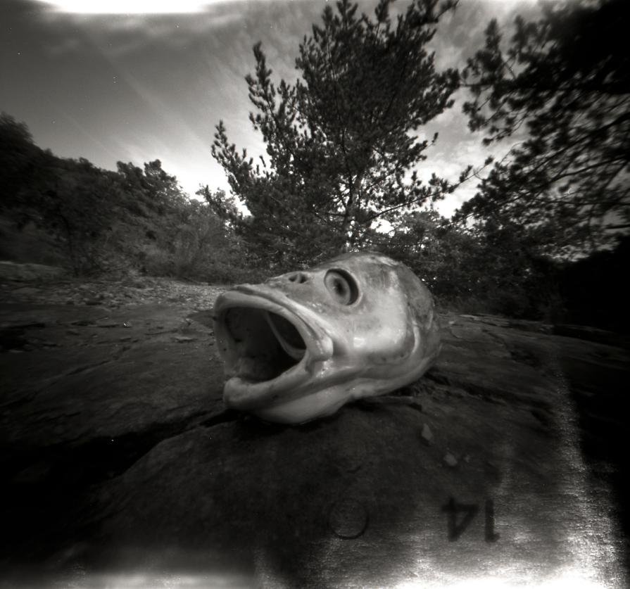 пинхольная фотография фото