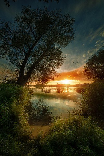 закат лес река фото