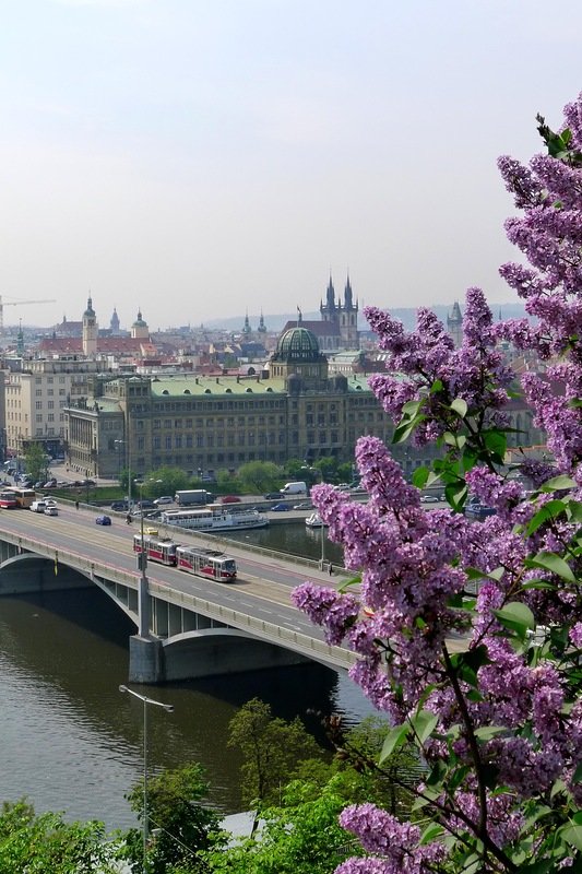 весна в праге фото