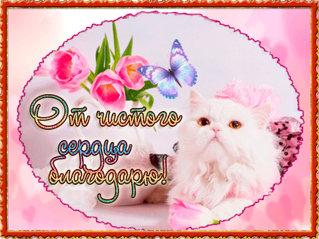 Спасибо все хорошо картинки