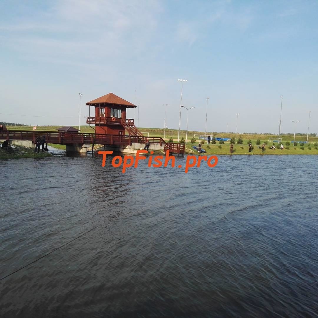 водоем фото