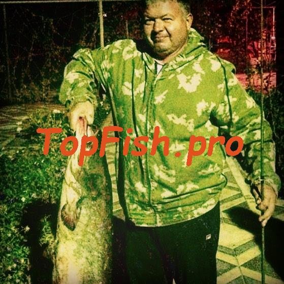 рыбалка сом фото