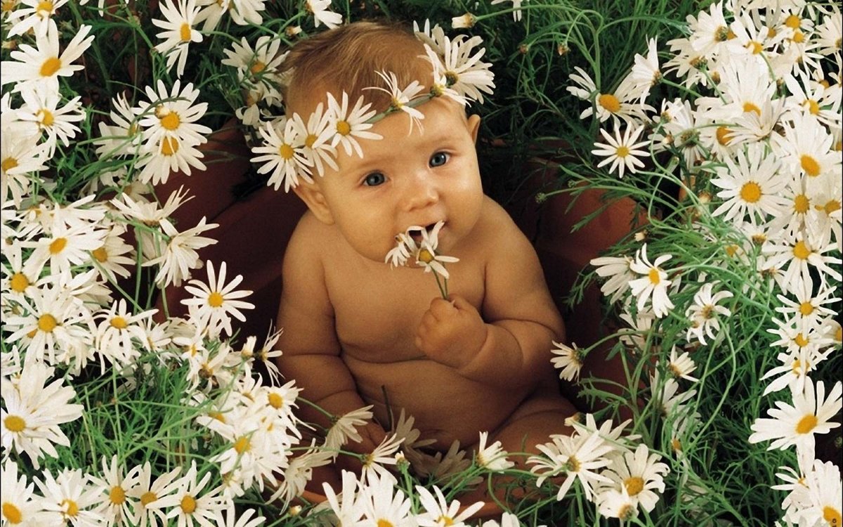 �������� �����, ������� � ���� ��������