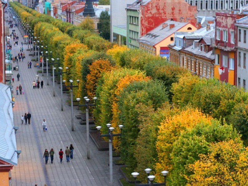 каунас литва фото