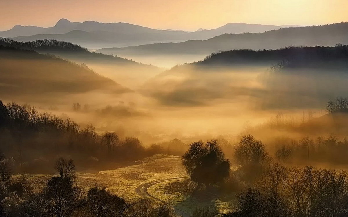 туманные пейзажи фото