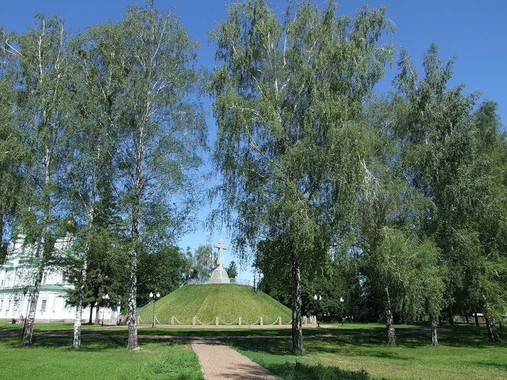 береза повислая фото