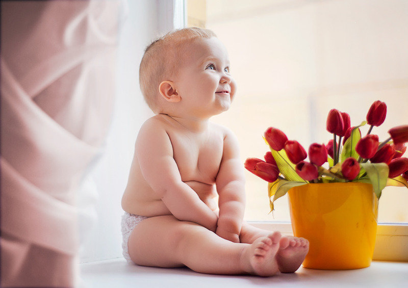 ���� �������� ��� �������, �������