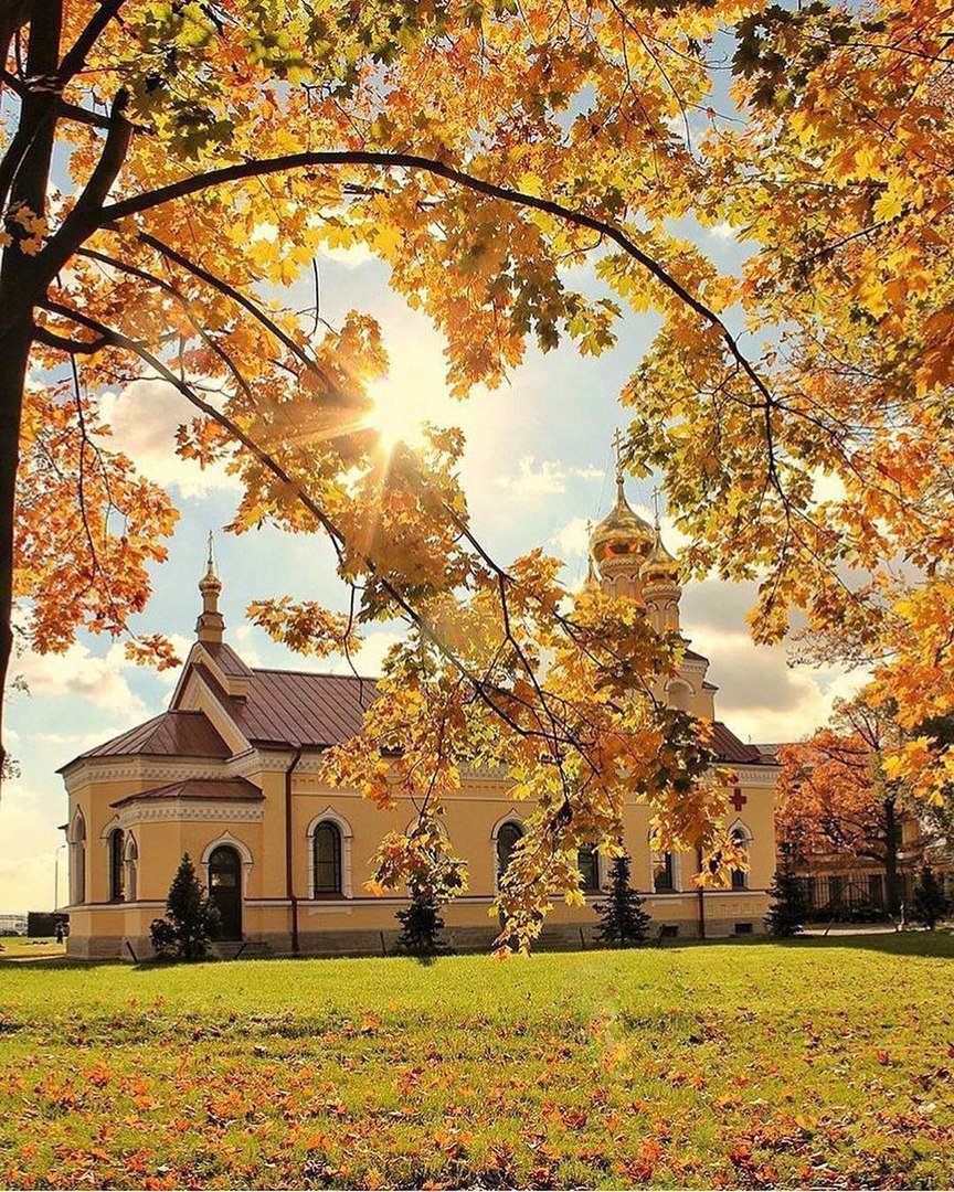 осень фото