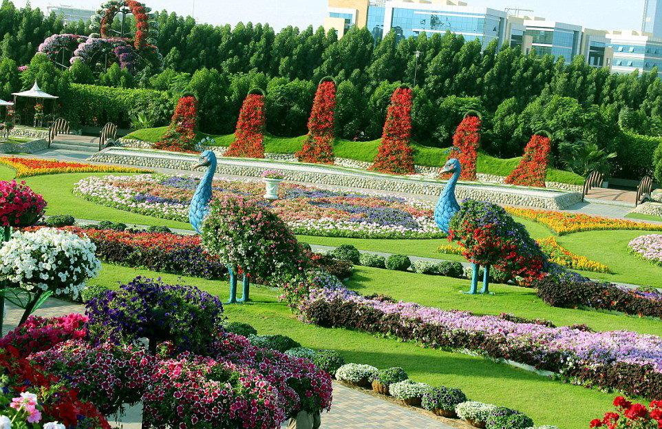 цветочный парк абу даби фото