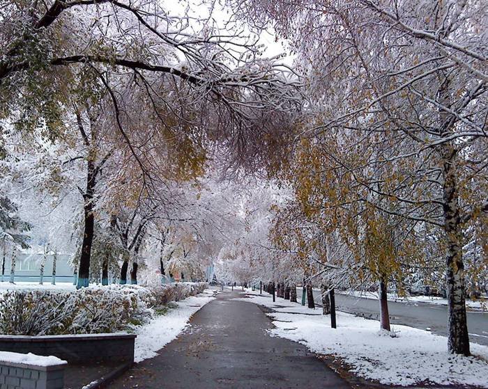 зима первый снег картинки фото