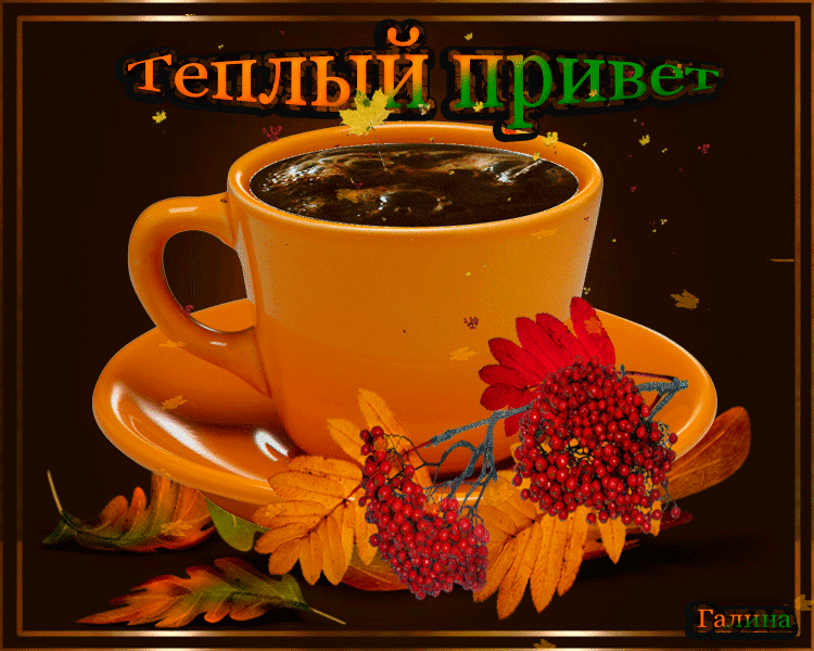 ������� ��� ��������