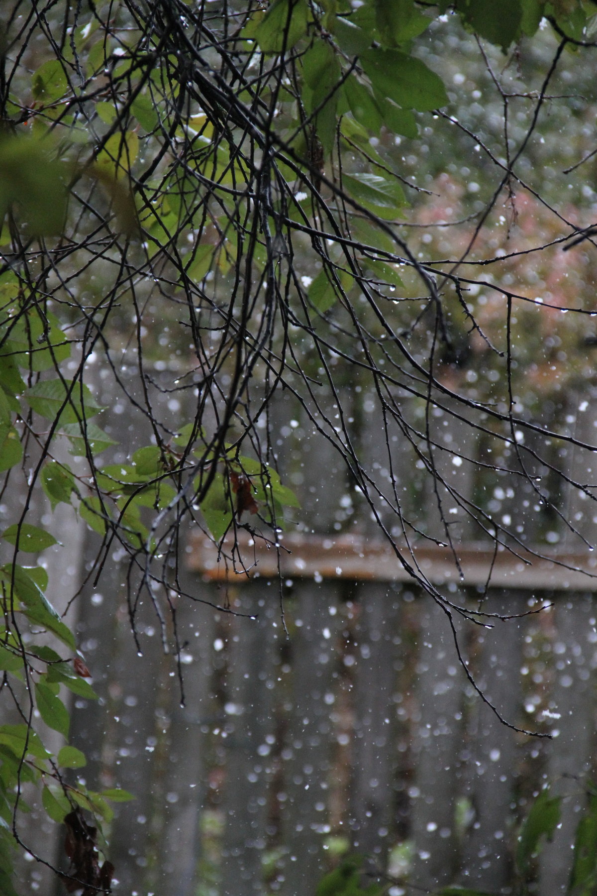 ���� �� ����� ����� ��� ���� ������