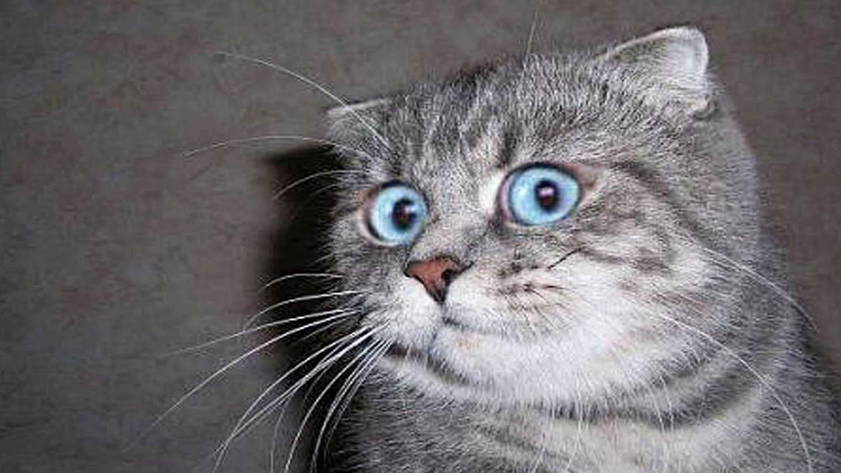 �������� �� ����� ������ �����, ������� ������� �����