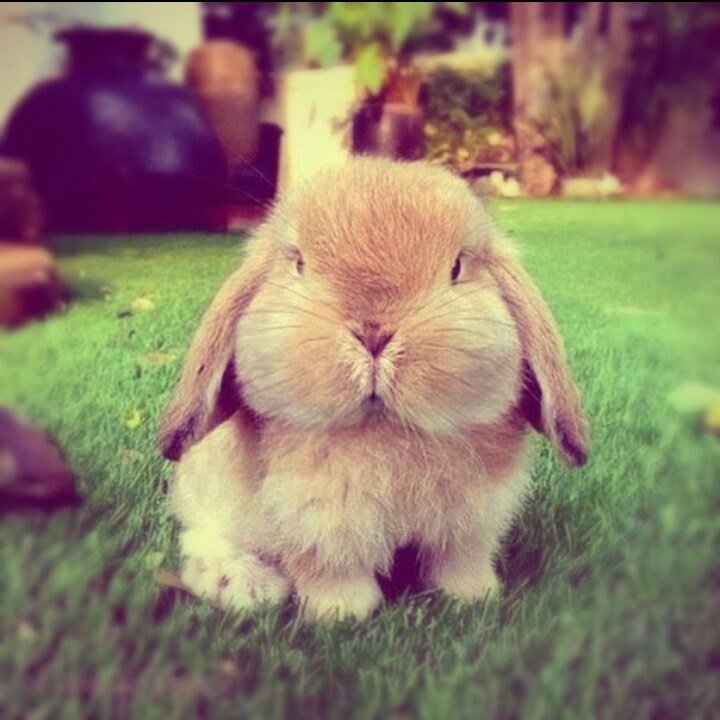 �������� ��� ����� � ���������, ���������