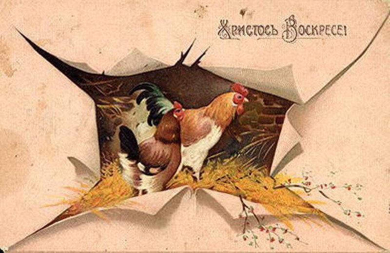 петух и курица фото