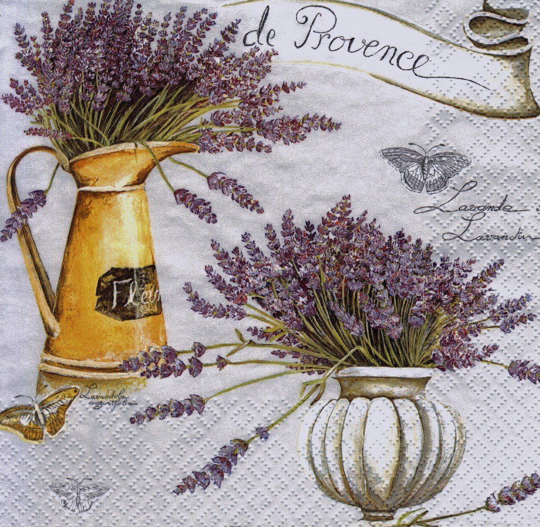 ���� ��������, ������� �������� ��������