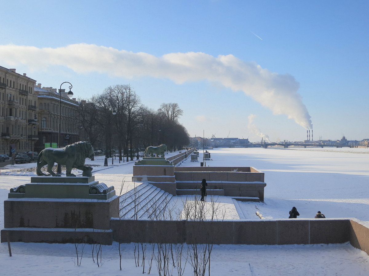 львы на адмиралтейской набережной в санкт-петербурге фото