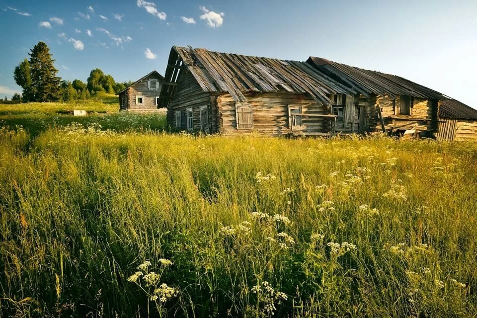 деревне фото