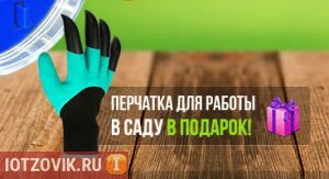 перчатки для сада и огорода фото