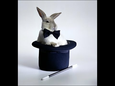 кролик из шляпы фото