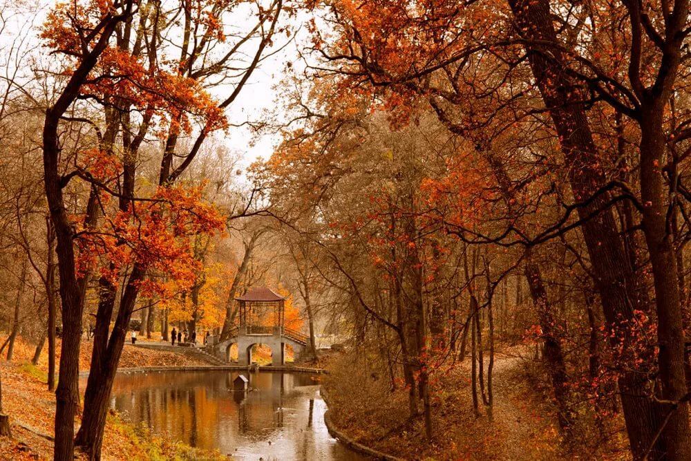 александровский парк санкт-петербург осень фото