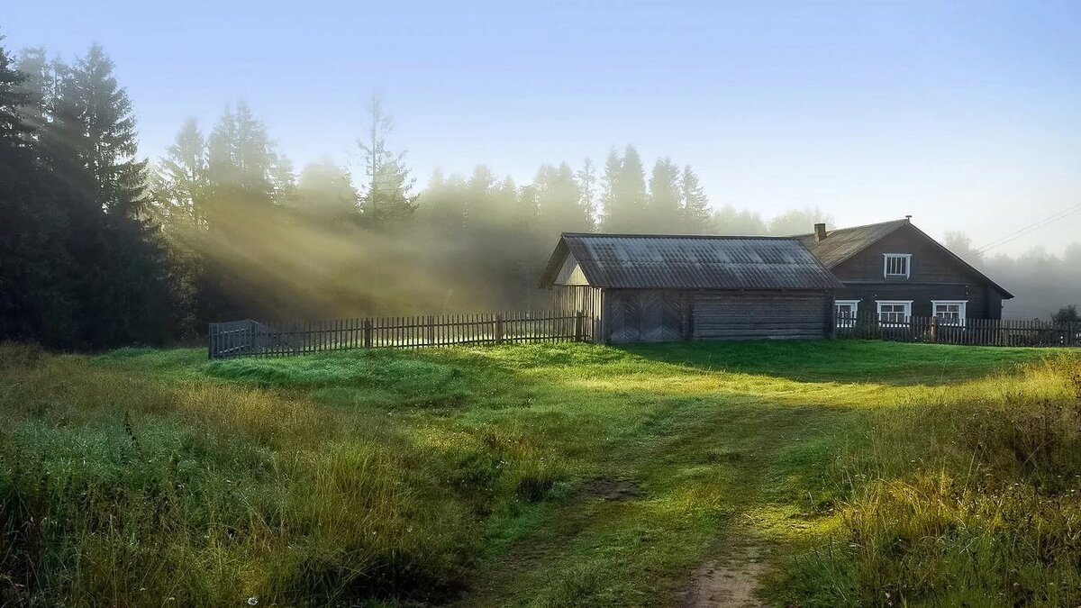 утро в деревне фото