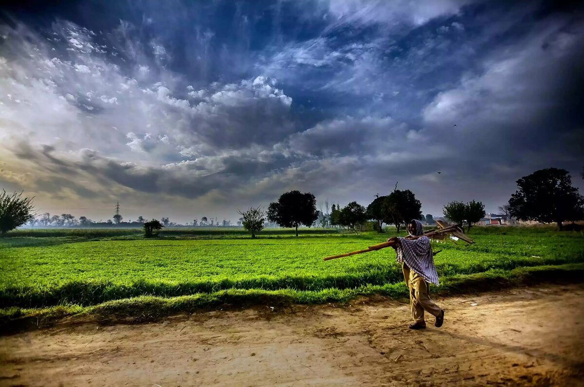 agriculture wallpaper фото