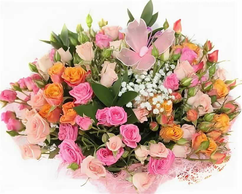 ��� ������� ����� ����