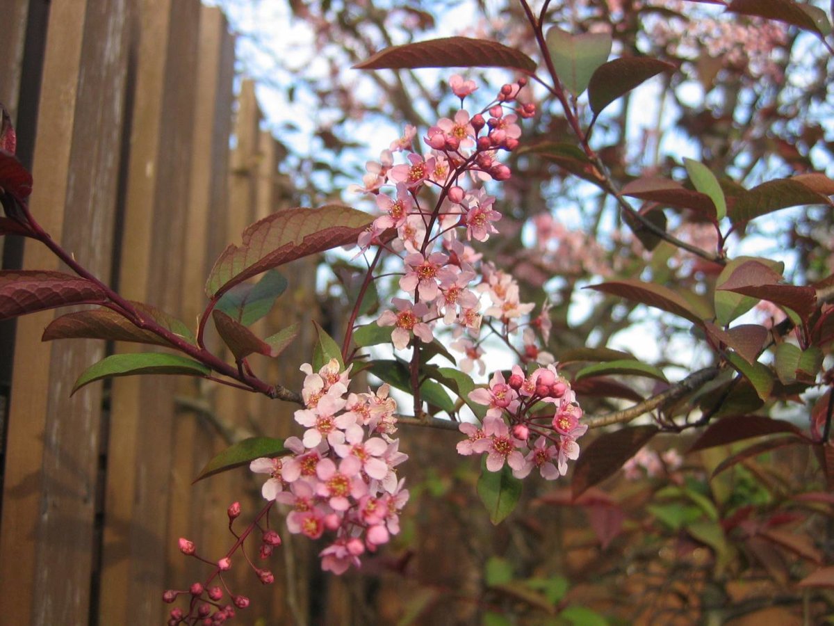 ����� �� �������� ������������� ���� ���������